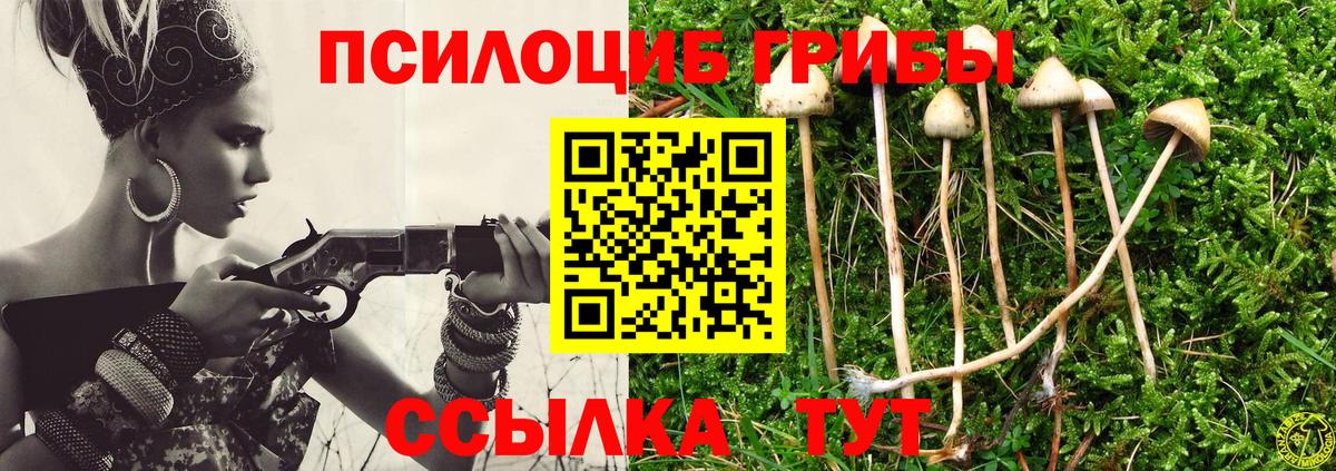 Псилоцибиновые грибы мухоморы Кандалакша